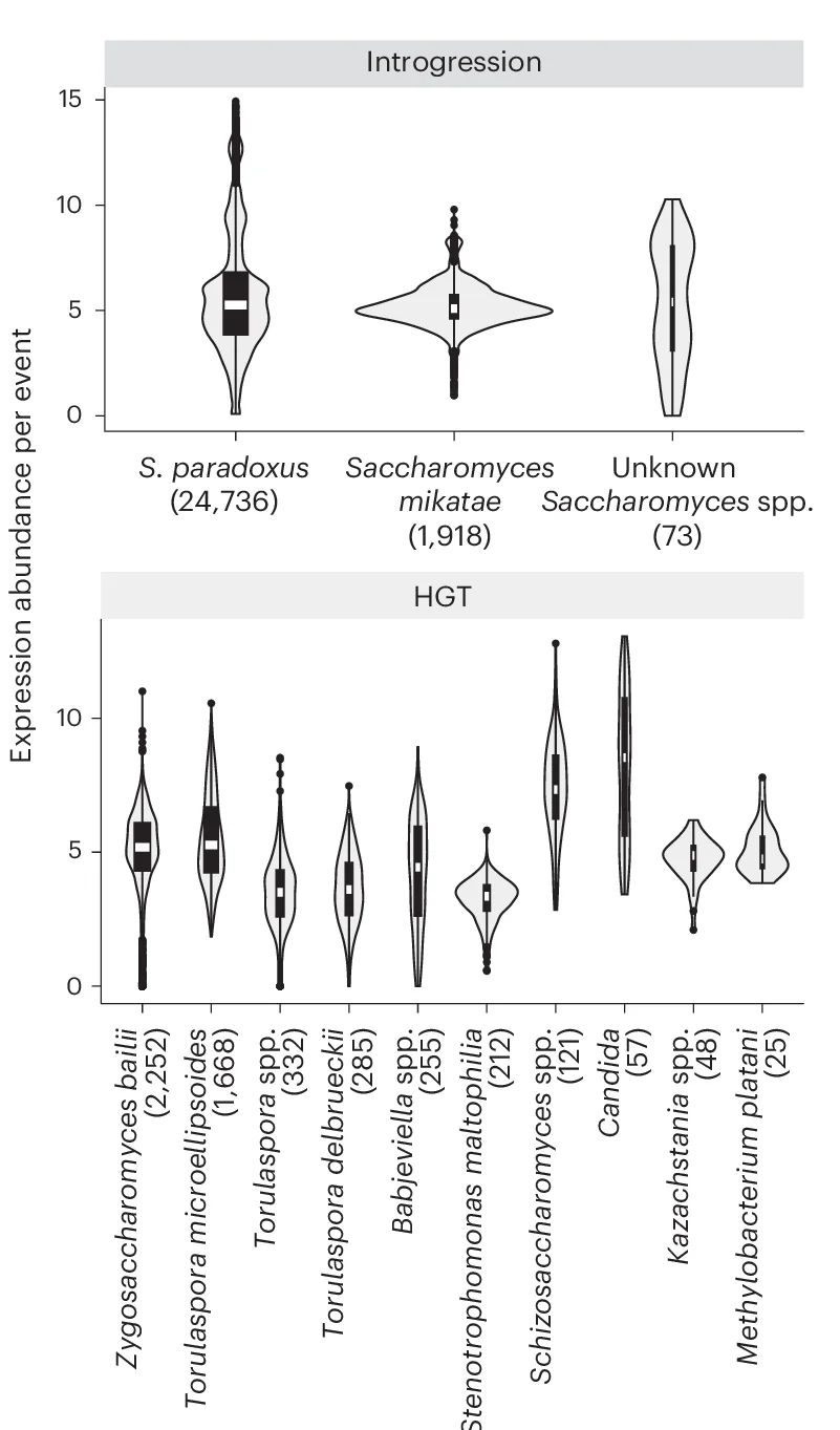Open access visualization of Violin Plot, Expression Abundance, Introgression, HGT Subcategories, Donor Species