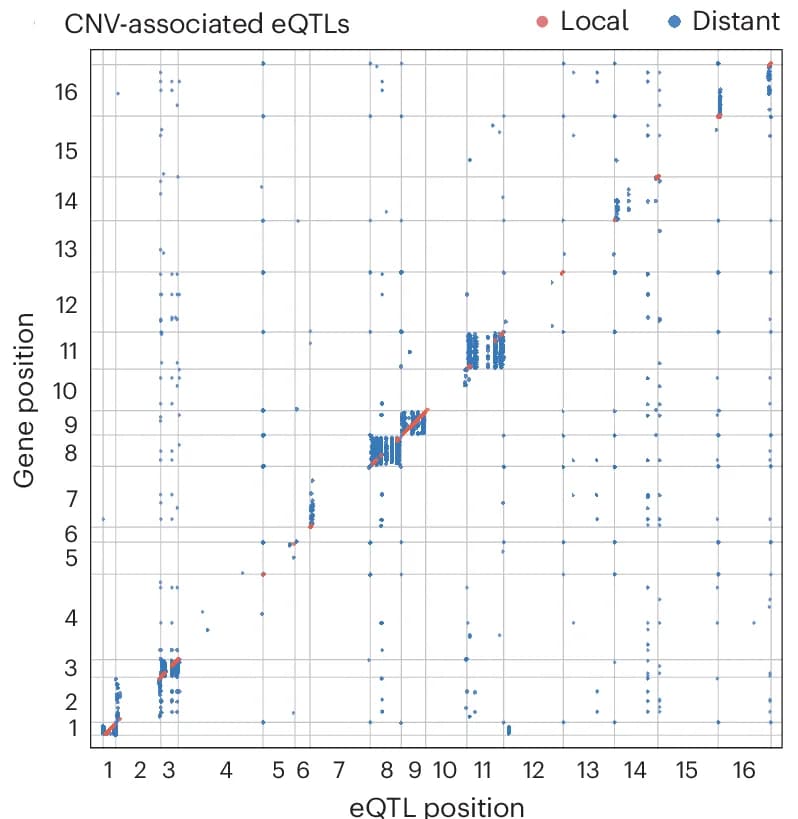 Open access visualization of Scatter Plot, CNV, eQTL, Gene Expression