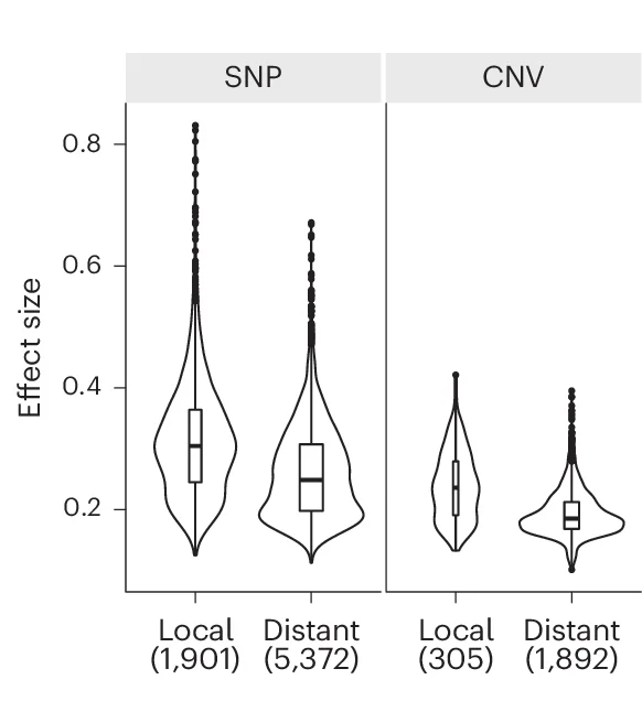 Open access visualization of Violin Plot, Box Plot, Raincloud Plot, eQTL, SNP