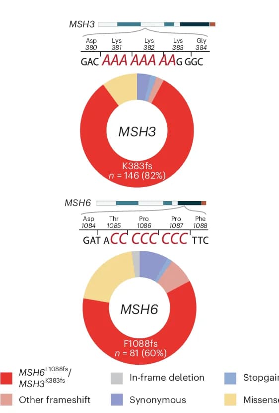 Open access visualization of Donut Chart, Pie Charts, Mutation Categories, MSH3, MSH6