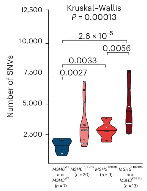 Open access visualization of Violin Plot, SNV, LCM Samples, MSH6 F1088fs Mutation, MSH3 K383fs Mutation