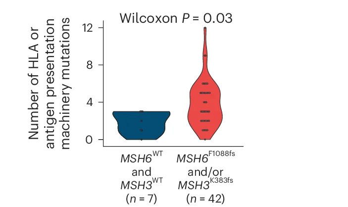 Open access visualization of Violin Plot, HLA, Antigen Presentation Machinery Gene Mutations, MSH6 Homopolymer Frameshift, MSH3 Homopolymer Frameshift