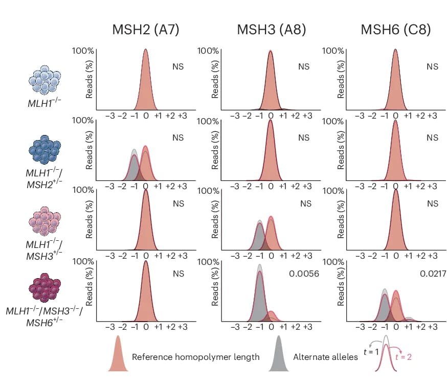 Open access visualization of Density Plot, Homopolymer Population Diversity, Variant Allele Frequency, Homopolymer Length, Fisher’s Exact Test