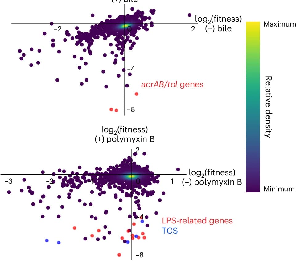 Open access visualization of Scatter Plot, Density Plot, Volcano Plot, Gene Fitness Changes, Bile