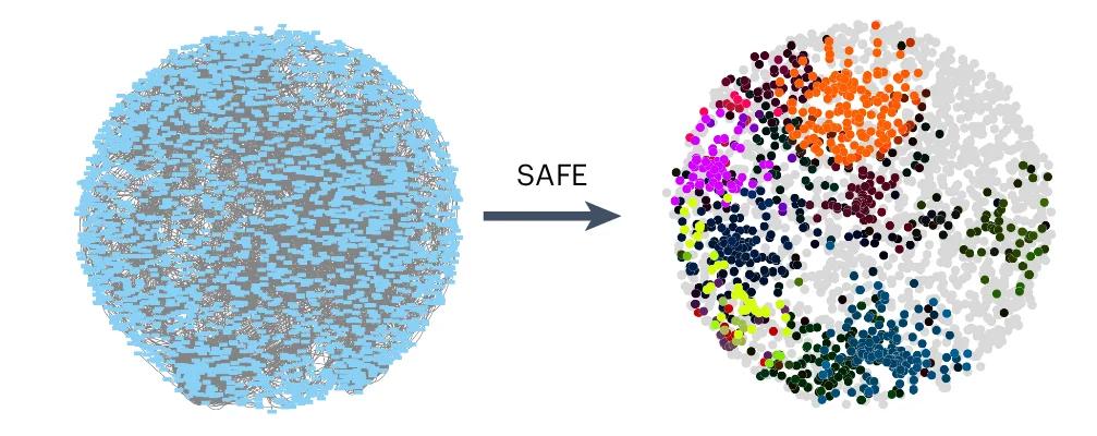 Open access visualization of Network, Scatter Plot, Cofitness Network Analysis, Genes, Functional Terms