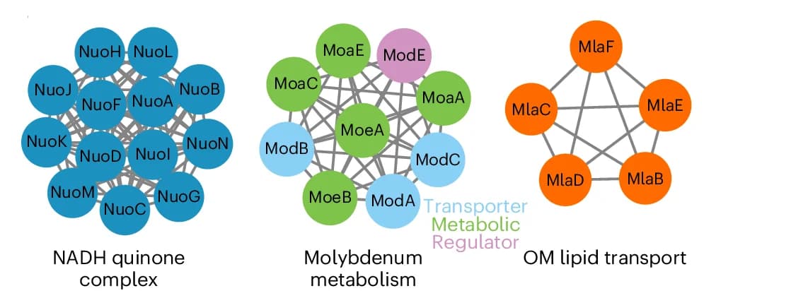 Open access visualization of Network, Pathway, Gene Subclusters, SAFE