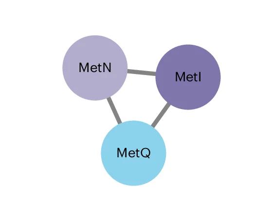 Open access visualization of Network, Pathway, metIQN Cluster, S. Typhi Ty2, Filtered Network