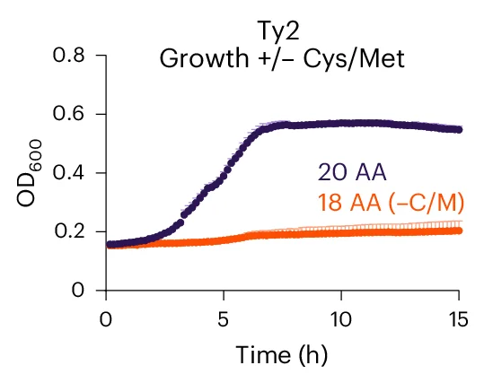 Open access visualization of Line Plot, Error Bars, Growth, Ty2 WT, Minimal Medium