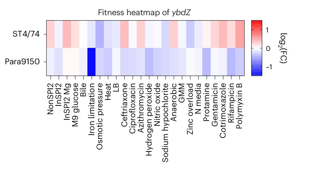 Open access visualization of Heatmap, Fitness Values, Tn Insertions, ybdZ, Stress Conditions