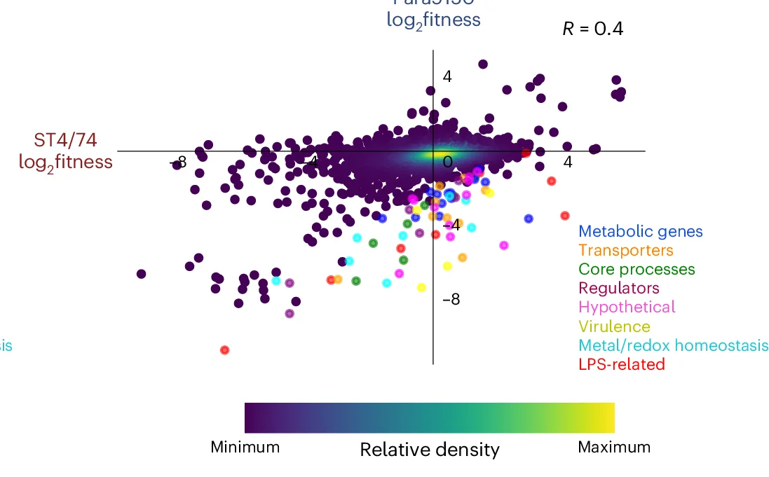 Open access visualization of Scatter Plot, Density Plot, Gene Fitness, S. Typhimurium, S. Paratyphi A