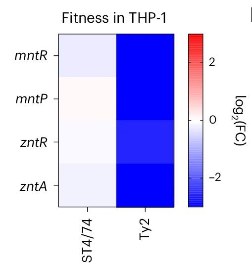 Open access visualization of Heatmap, Fitness Values, Tn Insertions, Metal Homeostasis Genes, THP-1 Infection