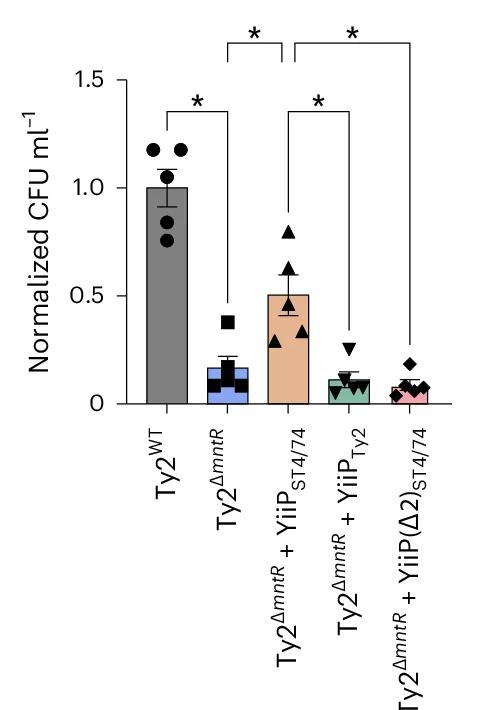 Open access visualization of Bar Plot, Error Bars, Scatter Plot, Intracellular Bacterial Counts, LPS-Activated Macrophages