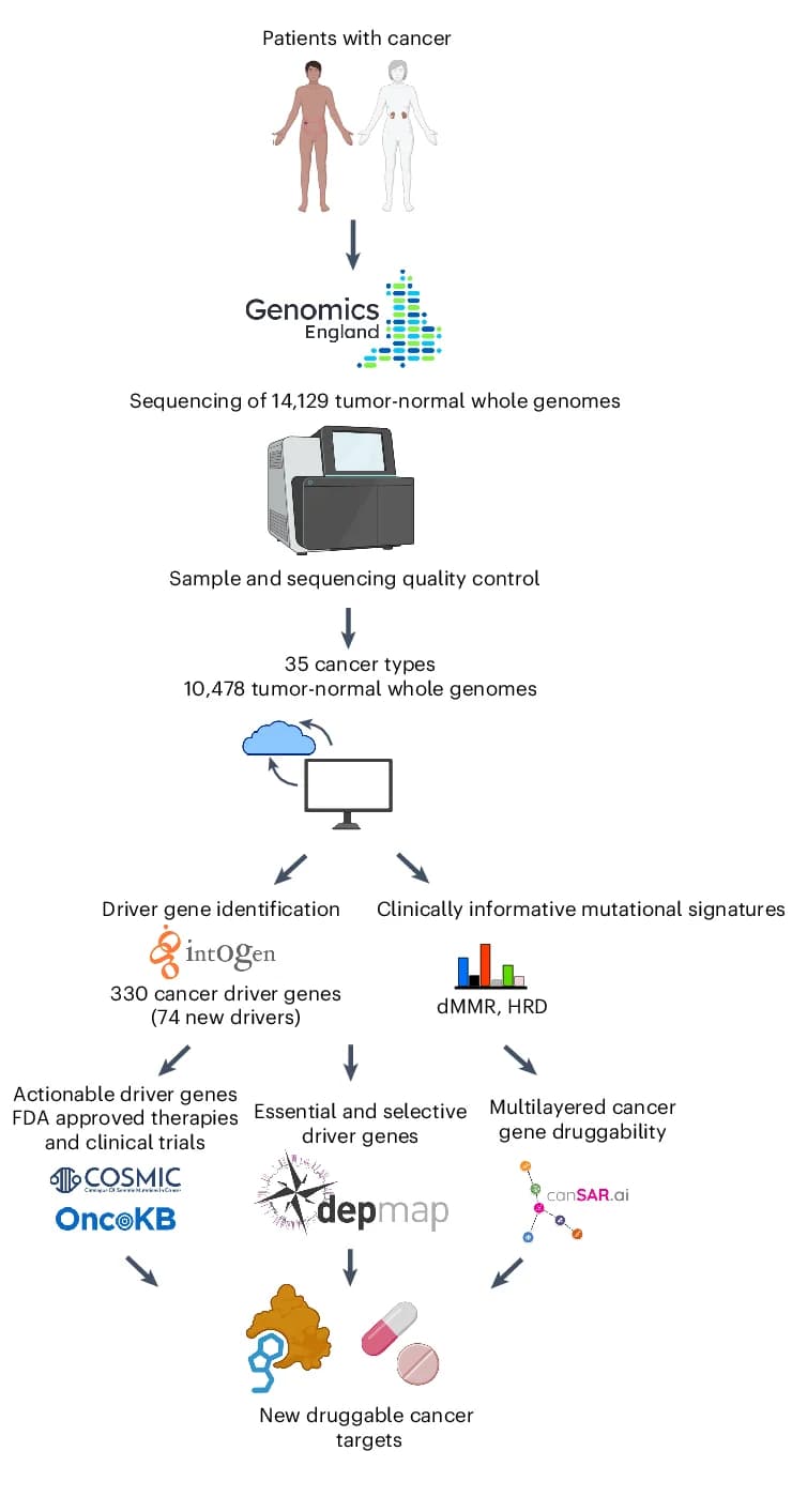 Open access visualization of Workflow, Illustration, Study Design