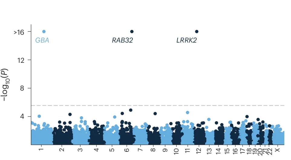 Open access visualization of Manhattan Plot, Gene-based Associations, ACAT Omnibus Test, Firths Logistic Regression, SKAT