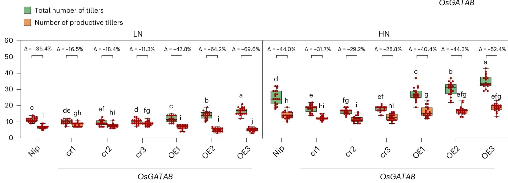 Open access visualization of Box Plot, Scatter Plot, Total Tillers, Productive Tillers, Nitrogen Conditions