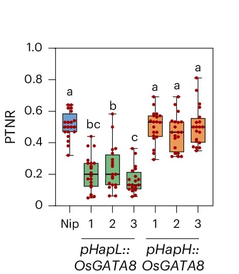 Open access visualization of Box Plot, Scatter Plot, PTNR, Genotypes, Plant Number