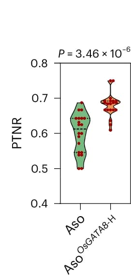 Open access visualization of Violin Plot, Scatter Plot, Productive Tiller Number Ratio, Tillers, Genotypes
