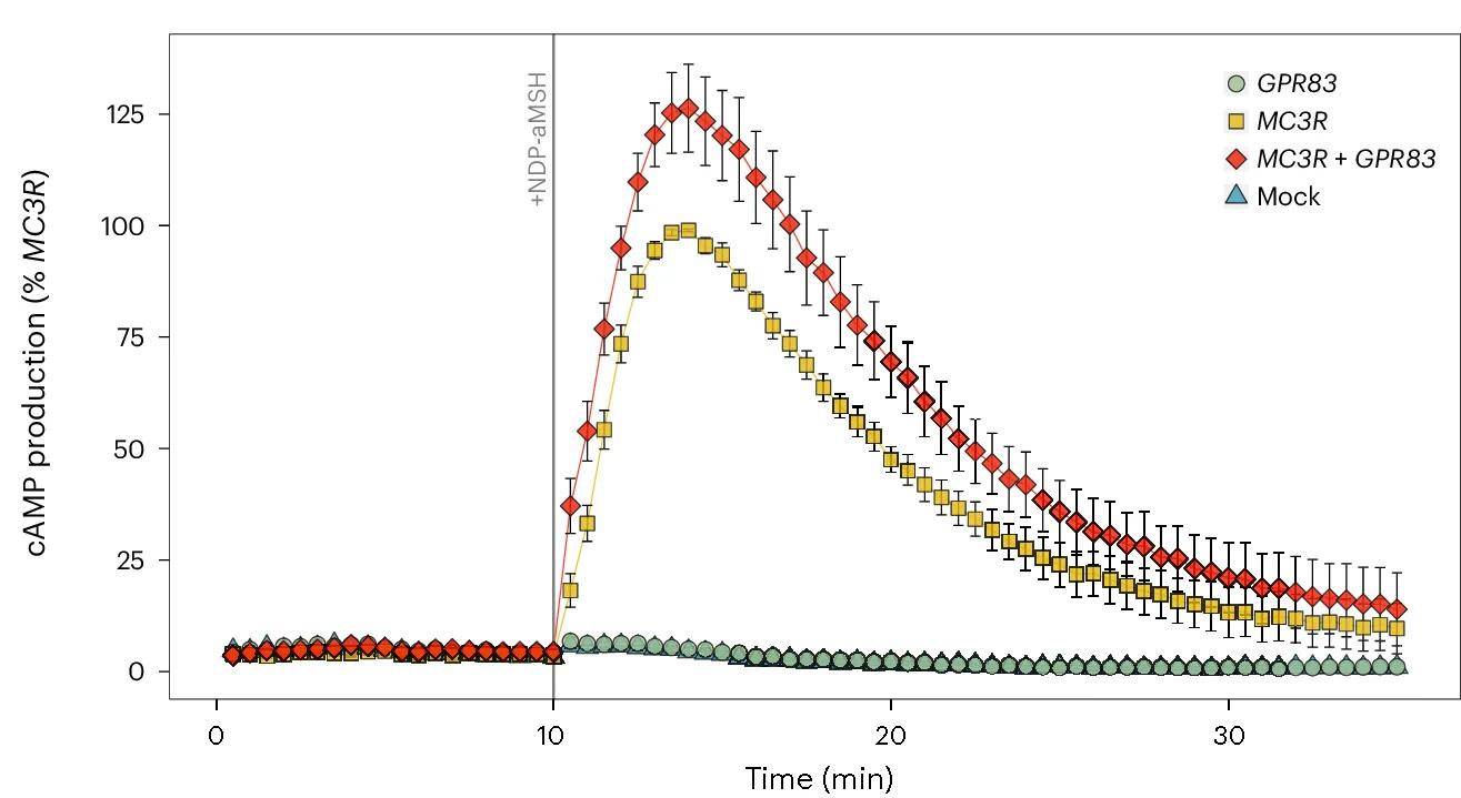 Open access visualization of Line Plot, Error Bars, cAMP Production, HEK293 Cells, MC3R