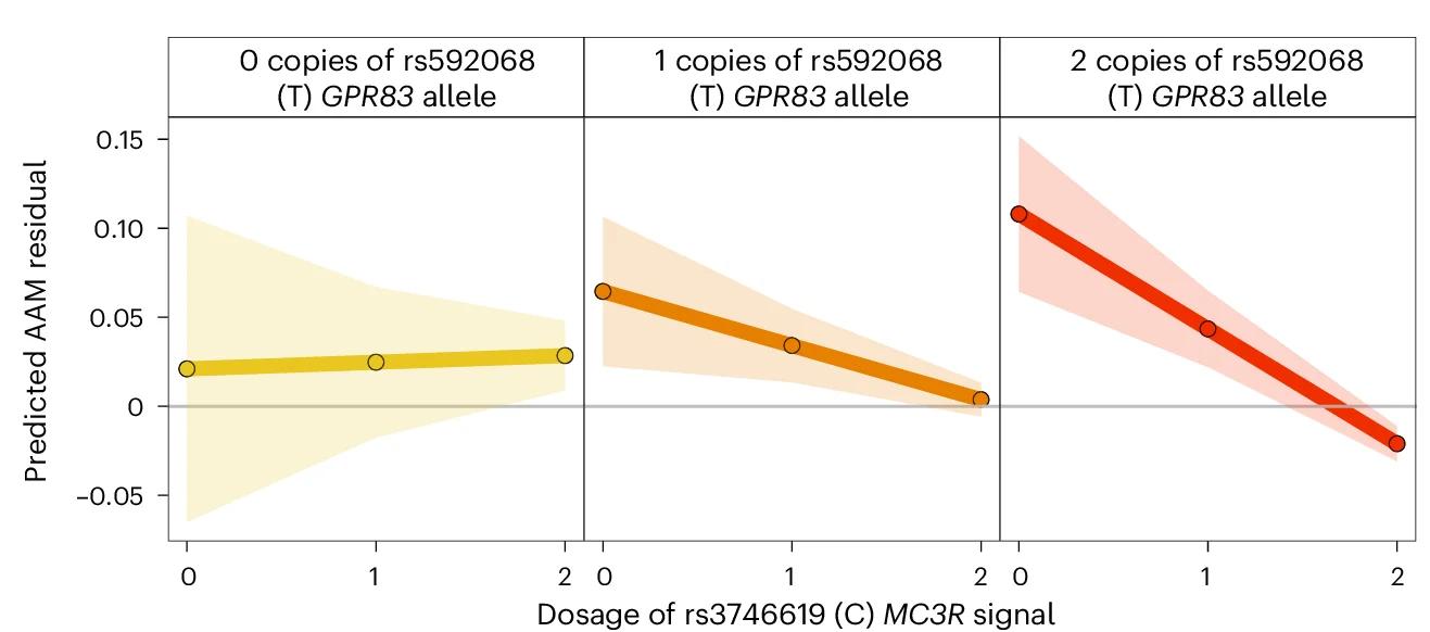 Open access visualization of Line Plot, Error Bars, AAM, MC3R, GPR83