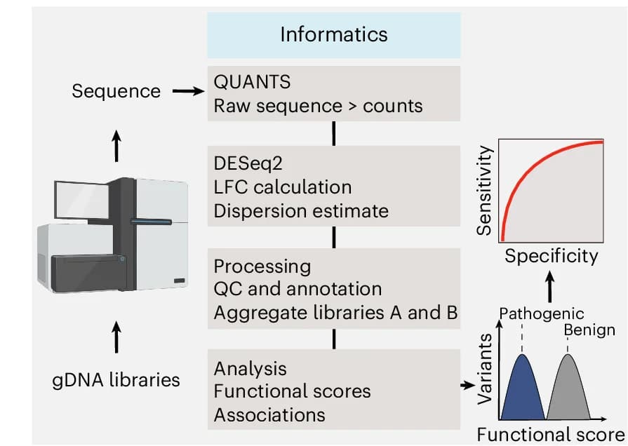 Open access visualization of Workflow, Line Plot, Density Plot, Sequencing, Population Dynamics