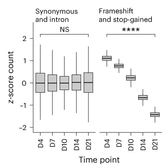 Open access visualization of Box Plot, Variant Abundance, Synonymous Changes, Intronic Regions, SGE Screen