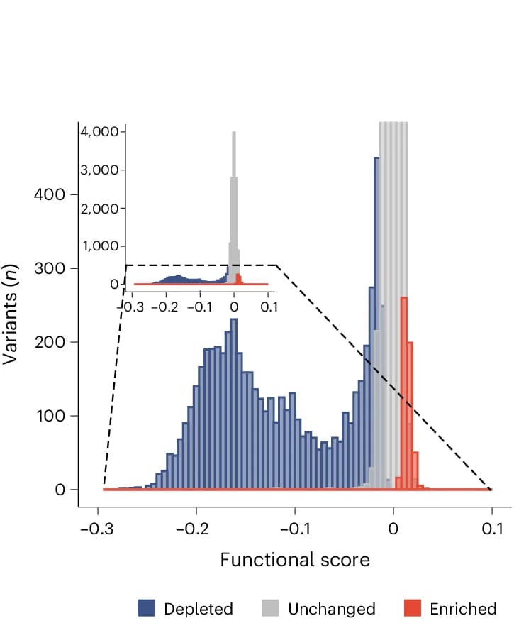Open access visualization of Histogram, Variants, Functional Classification, Functional Score