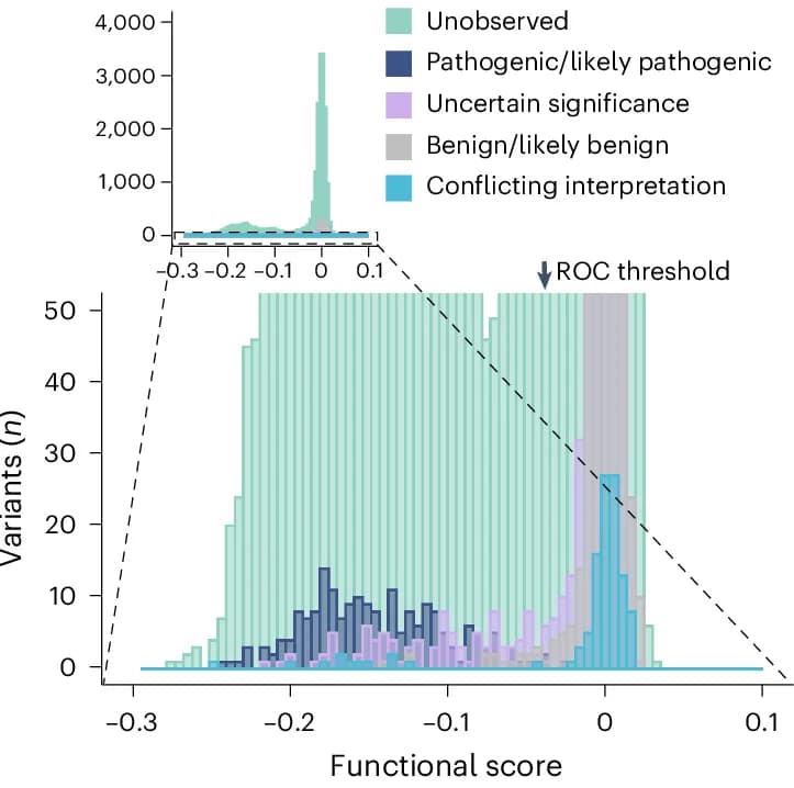 Open access visualization of Histogram, Stacked Bar Plot, Variants, Functional Score, ClinVar Clinical Significance