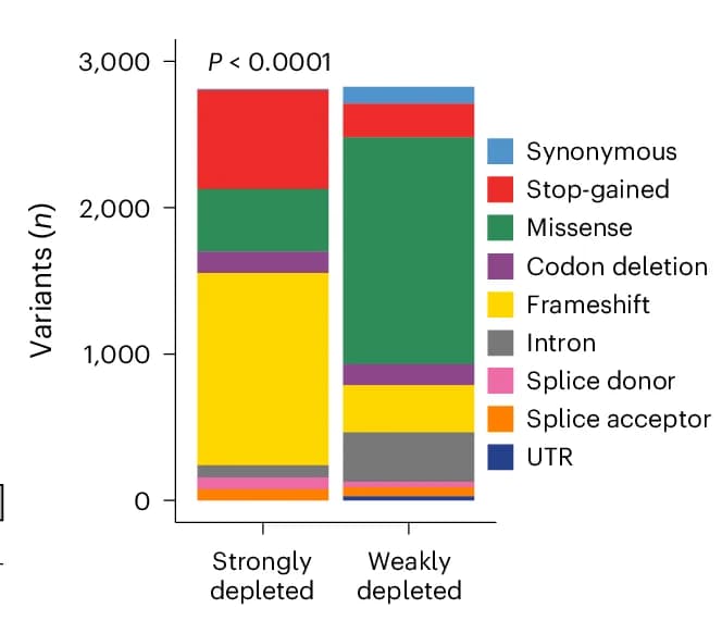 Open access visualization of Stacked Bar Plot, Frameshift Variants, Stop-Gained Variants, Missense Variants