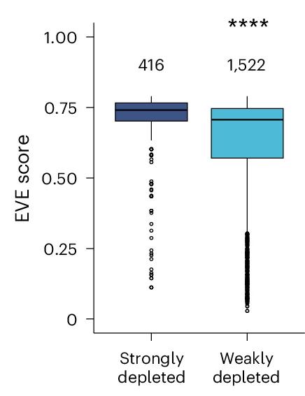 Open access visualization of Box Plot, Missense Variants, EVE Scores, Mann−Whitney−Wilcoxon test
