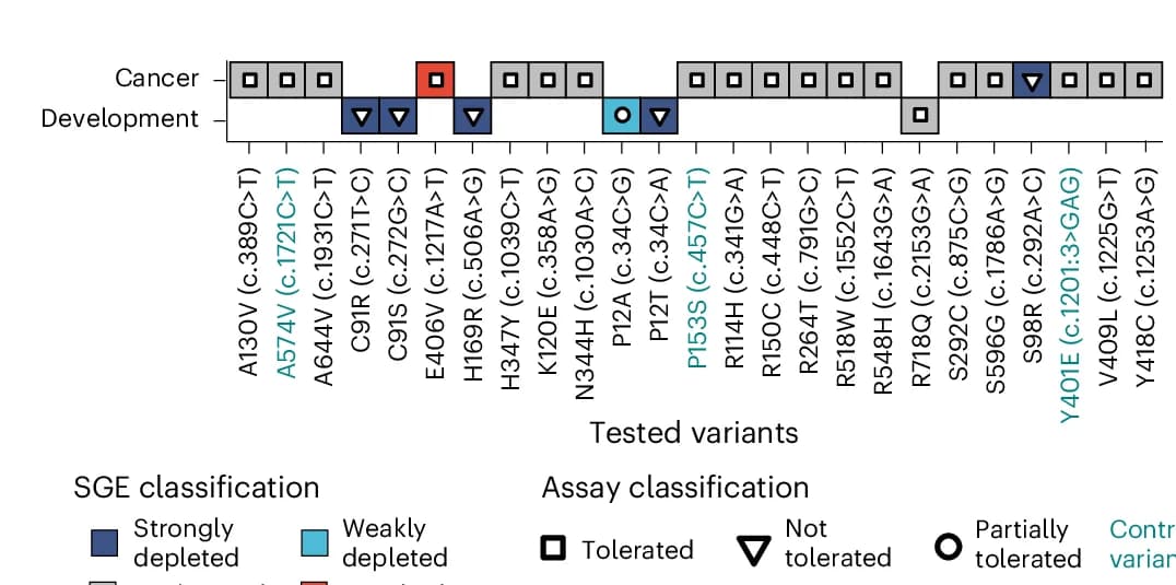 Open access visualization of Illustration, SGE Functional Classification, Orthogonal Functional Assays, VUS, Cancer