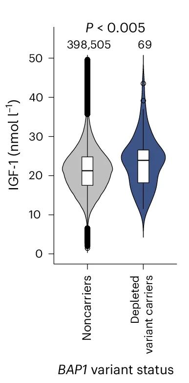 Open access visualization of Violin Plot, Box Plot, UK Biobank, SGE-Depleted Variants, IGF-1