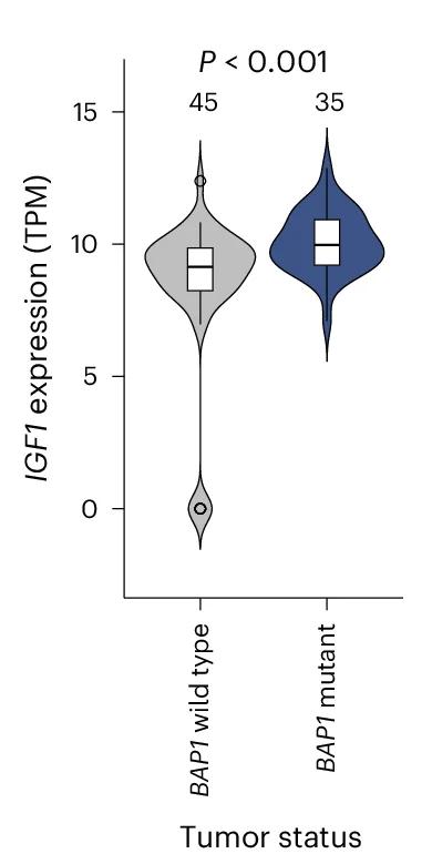 Open access visualization of Violin Plot, Box Plot, IGF1 mRNA Expression, Uveal Melanoma, TCGA