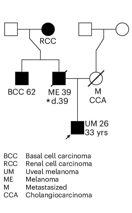 Open access visualization of Network, Pathway, Pedigree, c.535C>T variant, Uveal Melanoma