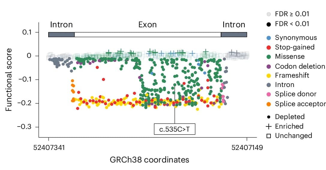 Open access visualization of Scatter Plot, Volcano Plot, Functional Scores, Exon 7, VEP Consequence