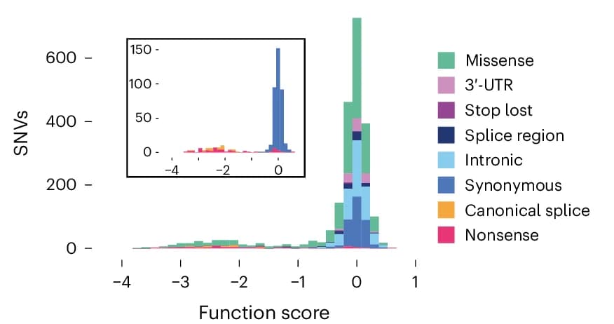 Open access visualization of Histogram, Stacked Bar Plot, Replicate Scores, Function Score, Variants
