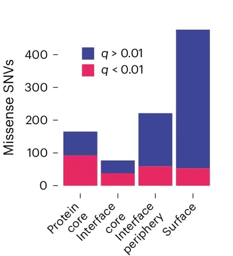 Open access visualization of Stacked Bar Plot, Missense Variants, SGE, Residue Exposure