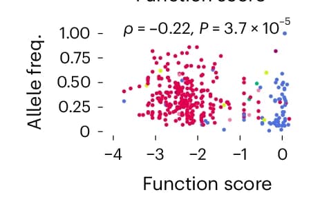 Open access visualization of Scatter Plot, SNVs, Tumors, Function Scores, Allele Frequencies