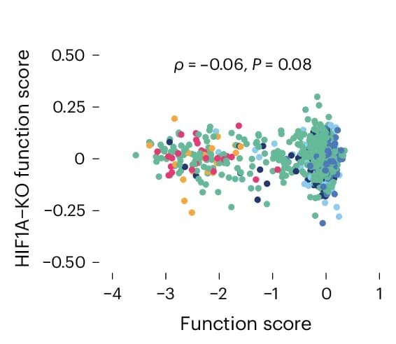 Open access visualization of Scatter Plot, Function Scores, Isogenic Lines, Correlation