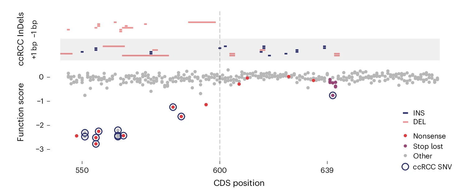 Open access visualization of Scatter Plot, Manhattan Plot, Frameshifting InDels, cBioPortal ccRCC Samples, Reading Frame