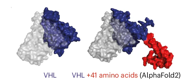Open access visualization of Protein Structure, Crystal Structure, VHL, AlphaFold Prediction, VHL Protein