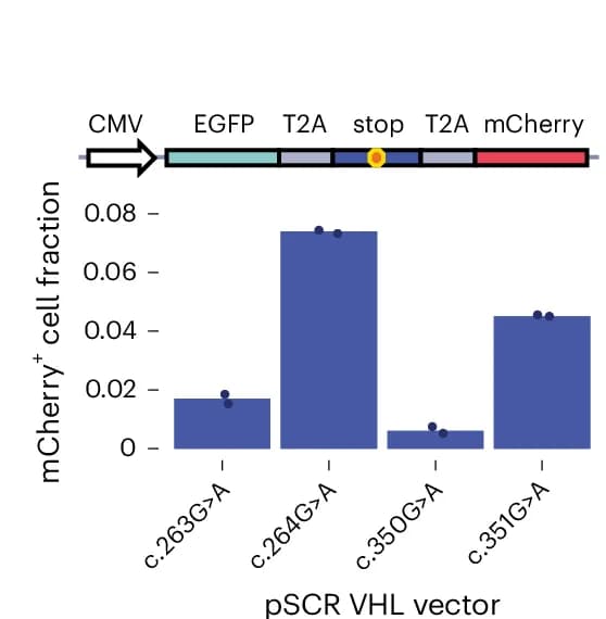 Open access visualization of Bar Plot, Dual-Fluorophore SCR Reporter, Nonsense Variants, mCherry Cells, Flow Cytometry