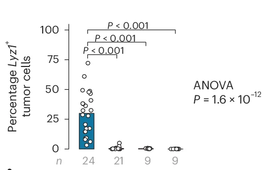 Open access visualization of Bar Plot, Scatter Plot, Lyz1+ Tumor Cells, One-way ANOVA, Tukey’s Post Hoc Tests