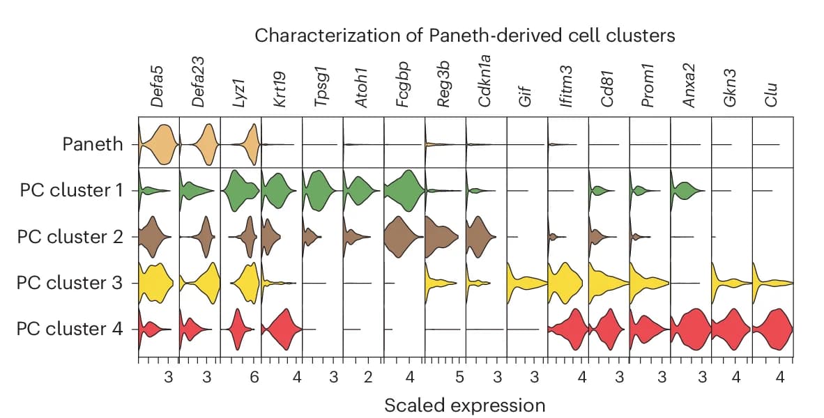 Open access visualization of Violin Plot, Violin Plots, Marker Genes, Paneth-Derived Cell Clusters, PC Cluster