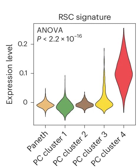 Open access visualization of Violin Plot, Association Analysis, RSC Signature, PC Cluster, One-Way ANOVA