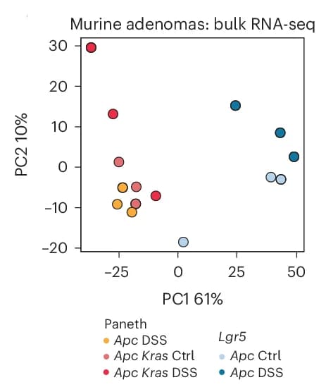 Open access visualization of Scatter Plot, PCA, PCA Plot, Cell-of-Origin, Variance