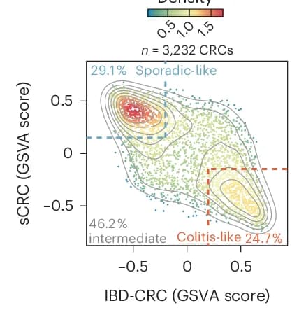 Open access visualization of Scatter Plot, Density Plot, Colon Cancers, Sporadic-like Cluster, Colitis-like Cluster