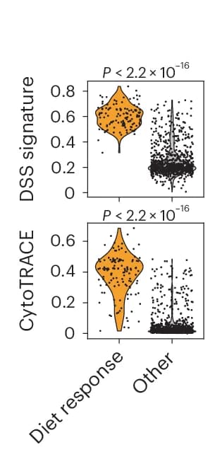 Open access visualization of Violin Plot, Scatter Plot, Violin Plots, DSS Signature, CytoTRACE Score