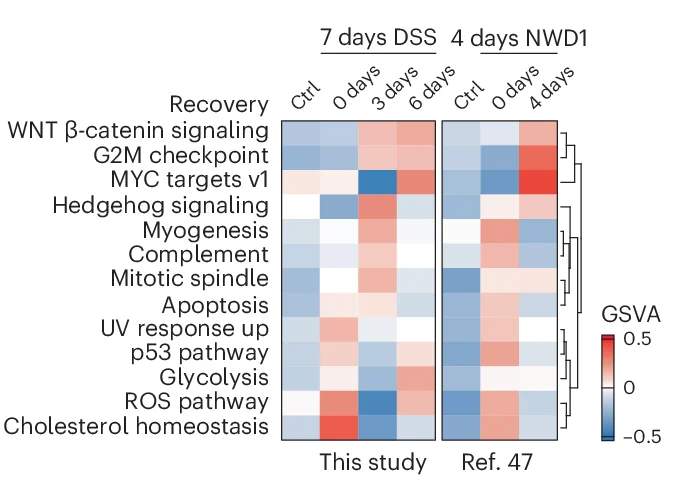 Open access visualization of Heatmap, Clustered, GSVA, Pathways, PCs