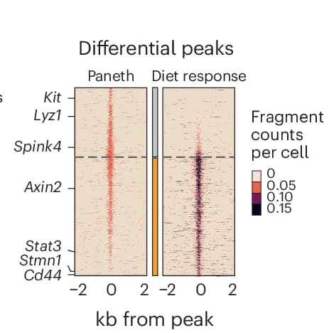 Open access visualization of Heatmap, Bar Plot, Differential Peaks, Diet Response PCs, PCs