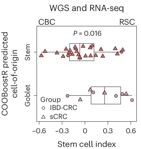 Open access visualization of Box Plot, Scatter Plot, Stem Cell Index, Cell-of-Origin, IBD-CRC